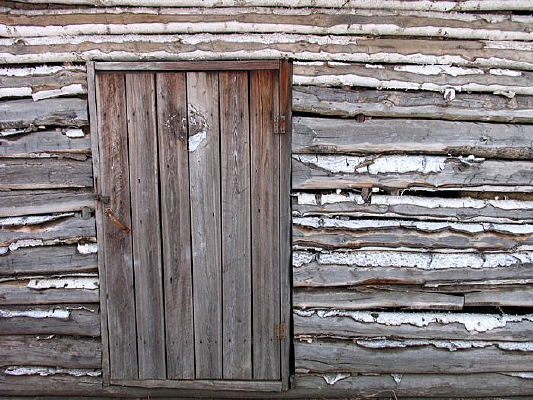 �����ھ�