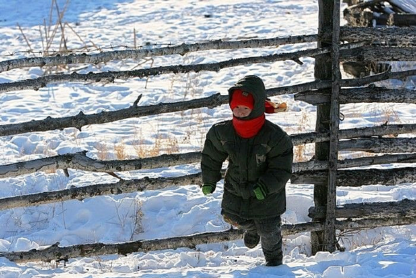 ���ɹ�С��