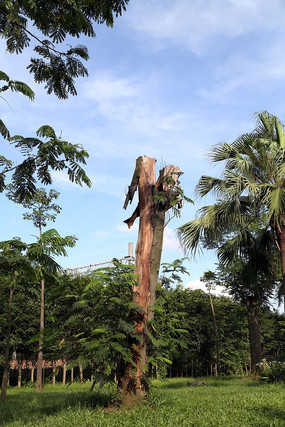 �̺������µ�����