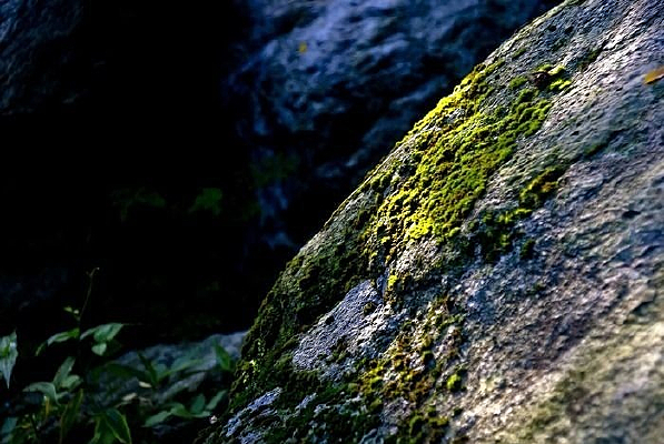 ��ʪ����ʯ