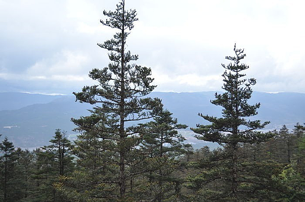 ����֮��