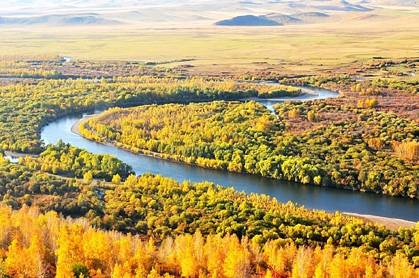 ����ɭ��