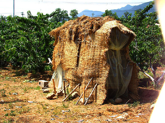 ��԰�ļ��׷���