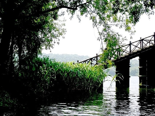 �㽭���������羰