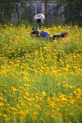 Ħ�г�����