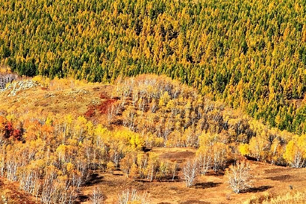 �����콻��