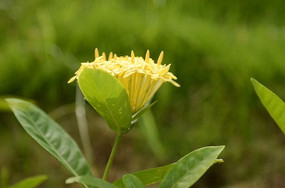 �����ʻ�����