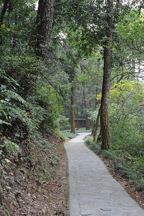 ����ͨ�ĵ�С��