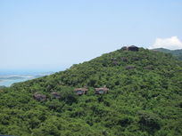 ����ɭ�ֹ�԰��