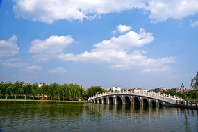 ʮ������