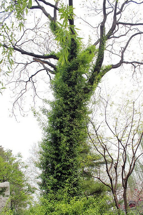 ����������