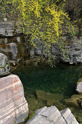 ̫��ɽ��ľ���