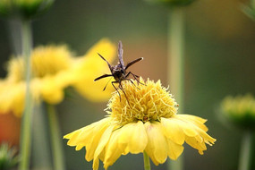 �ջ��ϵ�����