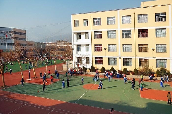 �˶���ѧ��