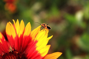 �ջ�����