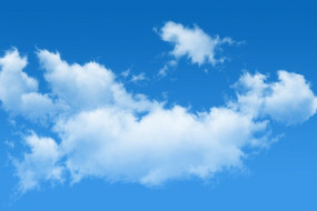 �̿�������������