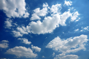 ��ɫ���Ư���İ�ɫ�Ʋ�