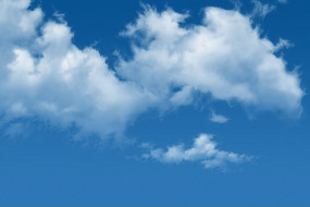 ������Ƹ����ͼ