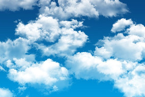 ������Ƹ����ͼ