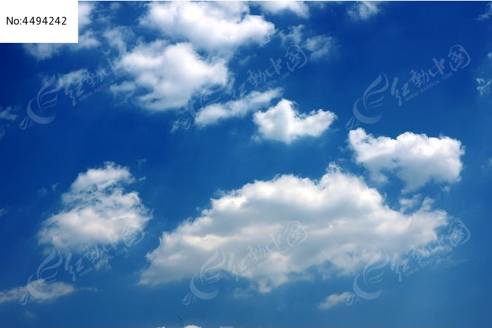 �����ϵĶ�����ͼƬ