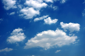 �����ϵĶ�����