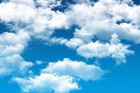 �������������