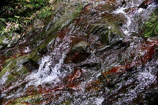 �ֺ�ɫ������