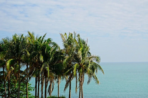 ����Ҭ��������