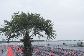 ����������