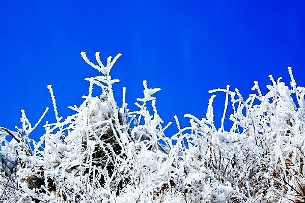 ѩ������