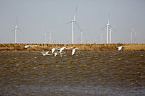 ����ˮ��