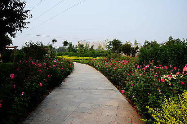 �ʻ�ʢ����·