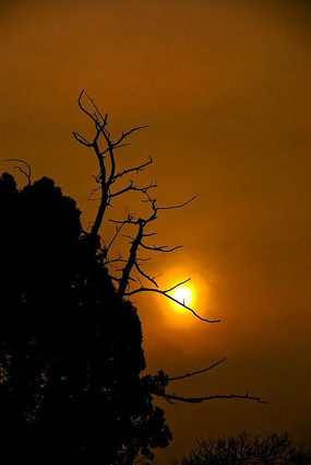 ����Ϧ��