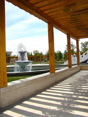 �����µ�ľͤ��