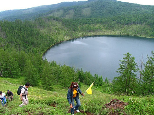 �����ɽ����