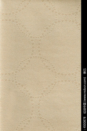 �����廷����