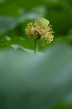 ��л������