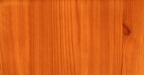 ����ľ��