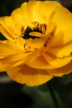 ĵ���۲�ĵ��