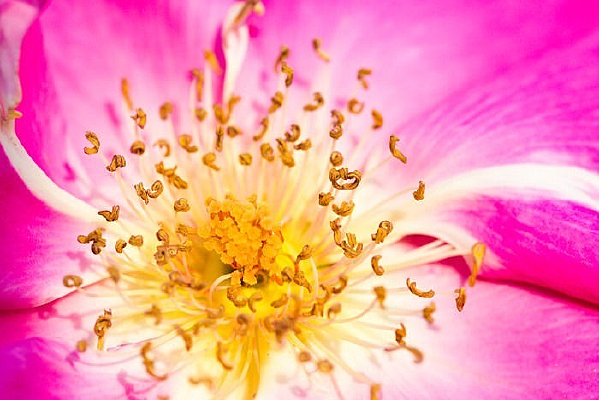 ��ҩ����