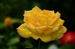 ��ɫ�¼�������