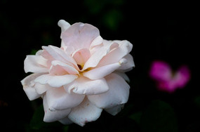 ��ɫ��ɫ�¼���