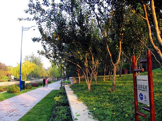 ����Ԫ�󶼺���