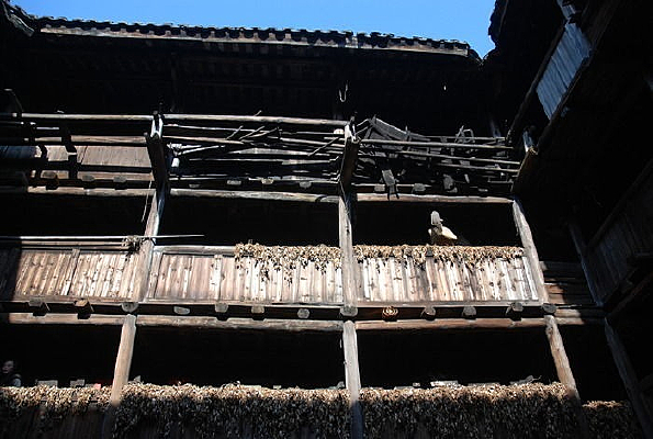 �����Ի�