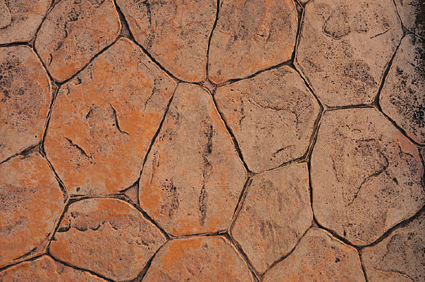 �����Ʊ���