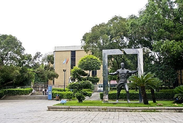 ���ڵĵ���