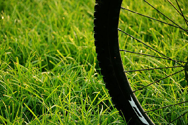 ���г�����