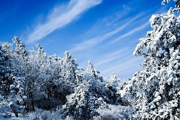 ��ѩ���ǵ�̩ɽ