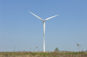 ���������ͼƬ