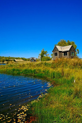 �����Ĺ���